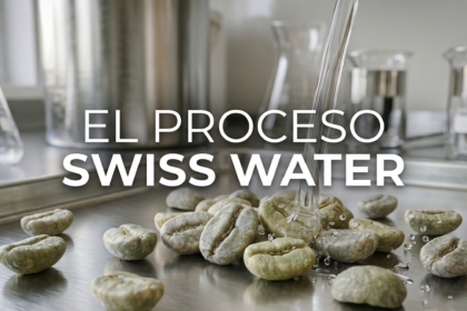 swiss water