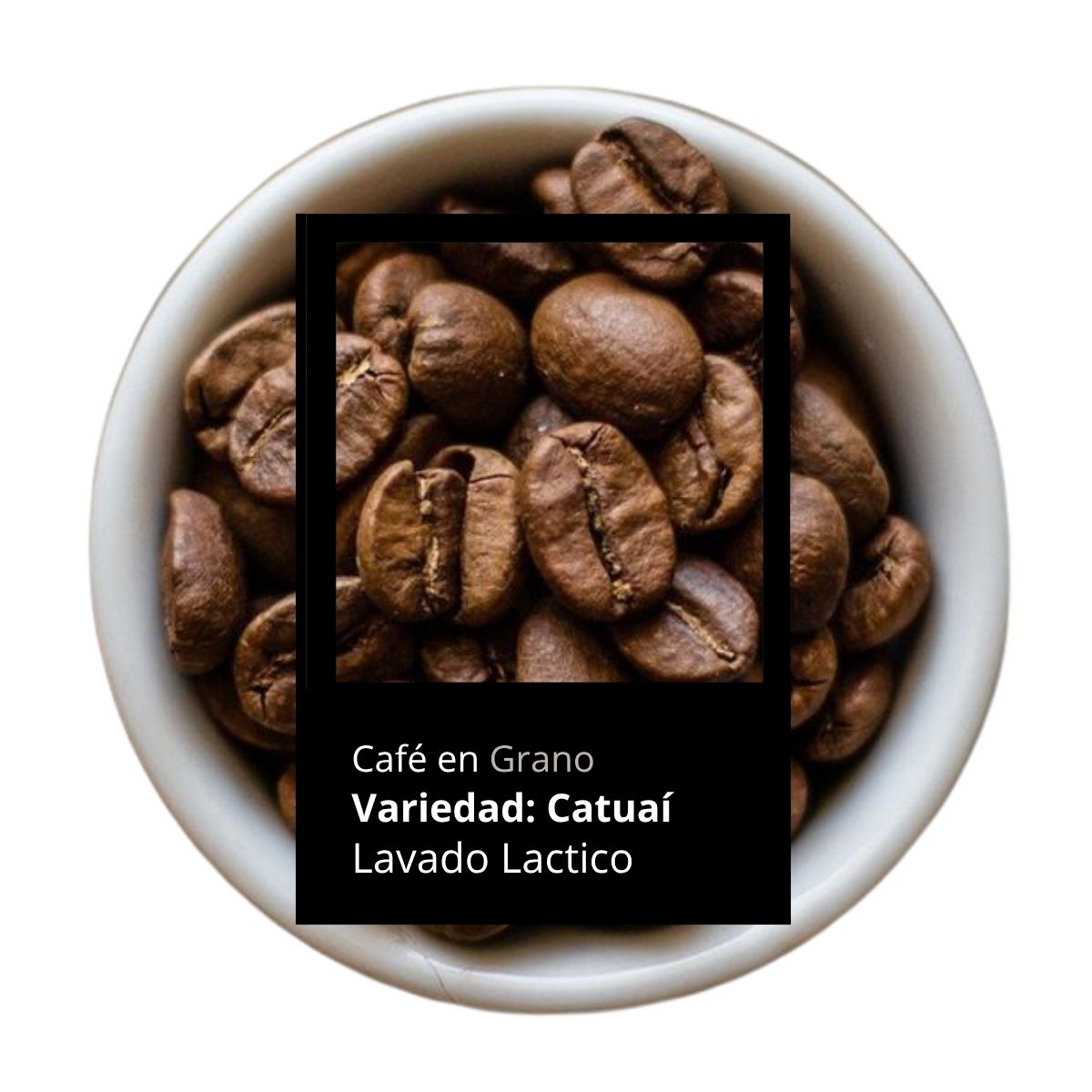 Catuai Lavado Lactico 250 gr.